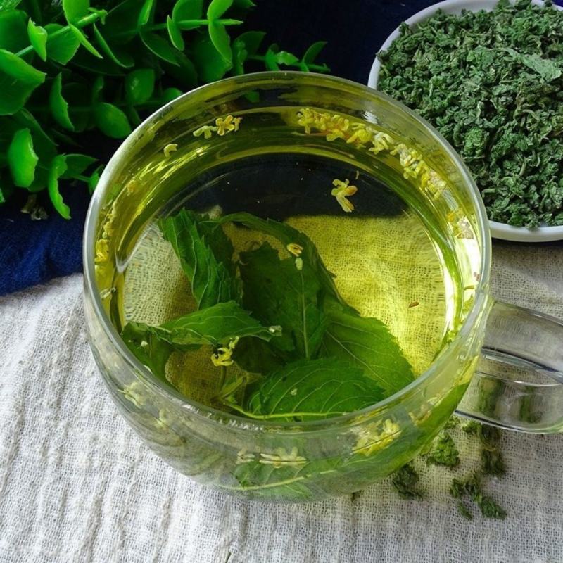 新鲜薄荷叶薄荷茶天然薄荷清凉茶薄荷叶干泡茶泡水清新口