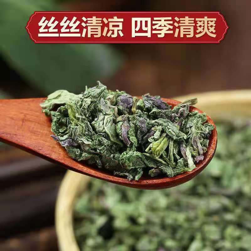 新鲜薄荷叶薄荷茶天然薄荷清凉茶薄荷叶干泡茶泡水清新口