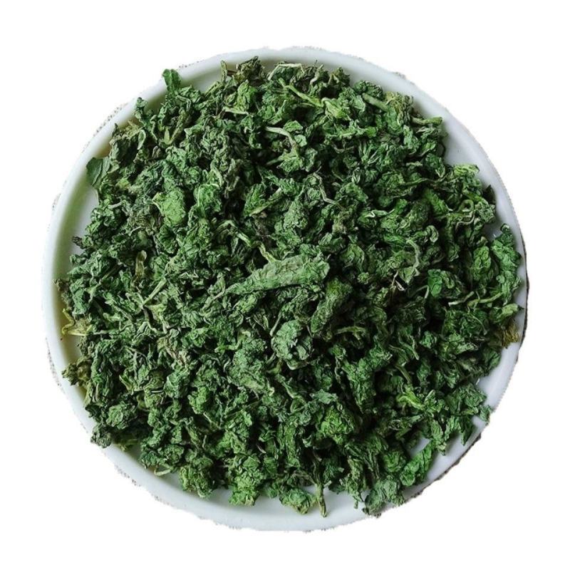 新鲜薄荷叶薄荷茶天然薄荷清凉茶薄荷叶干泡茶泡水清新口