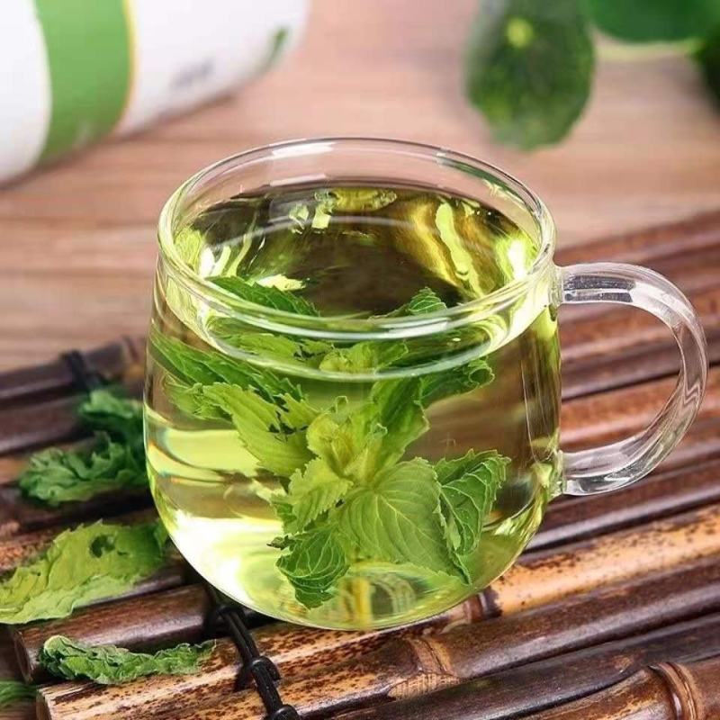 新鲜薄荷叶薄荷茶天然薄荷清凉茶薄荷叶干泡茶泡水清新口