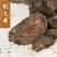【大黄】中药材无硫大黄川军锦纹生军酒制大黄川大黄包邮