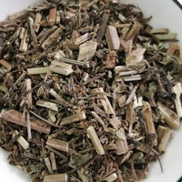马鞭草