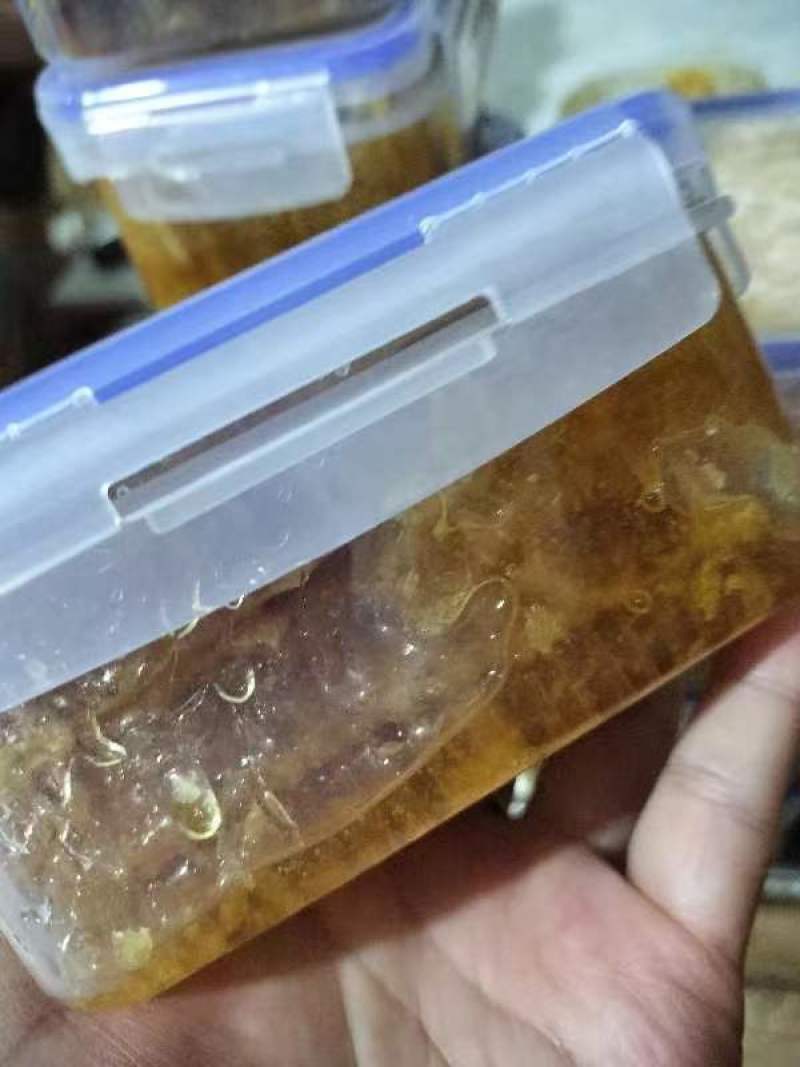 切割巢蜜一斤装，纯蜂蜜浓度高10元每盒