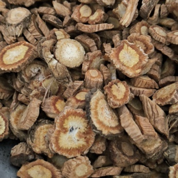 防风中药材批发防风各种规格质量保证量大从优
