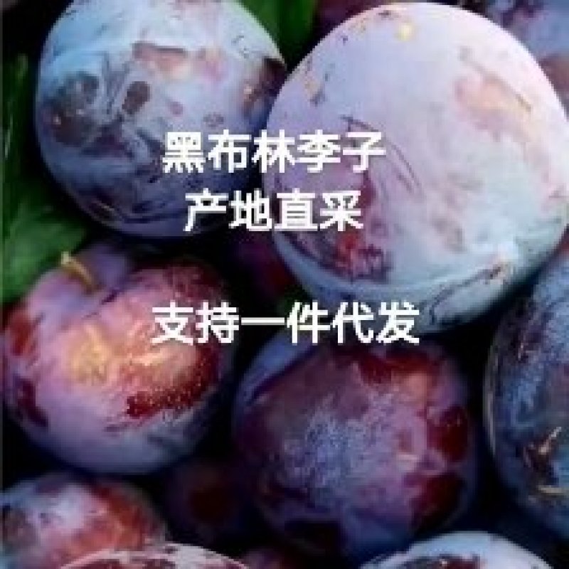 黑布林李子陕西黑布林李子，产地直发，支持一件代发