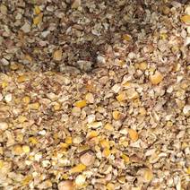 八个多粮无土无沙的碎玉米筛漏