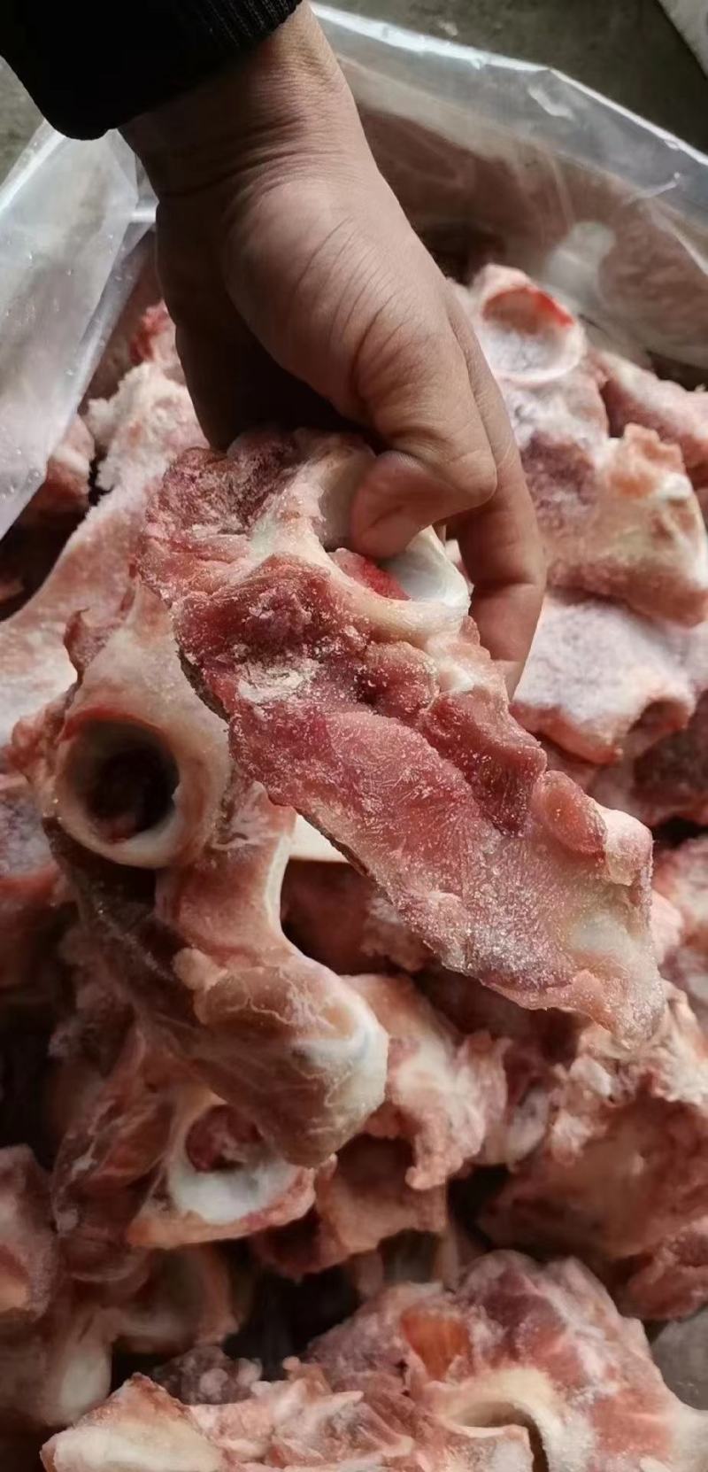 0602髋骨