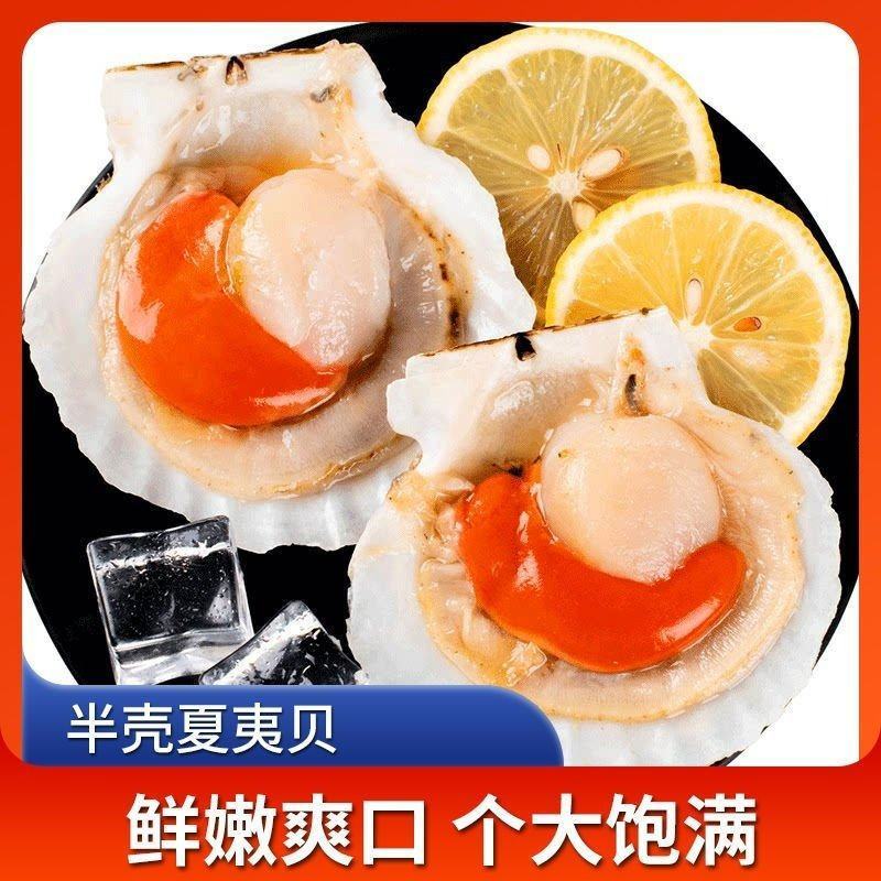超大号新鲜半壳虾夏夷贝冷冻速大扇贝带黄肉烧烤蒜蓉无冰海捕