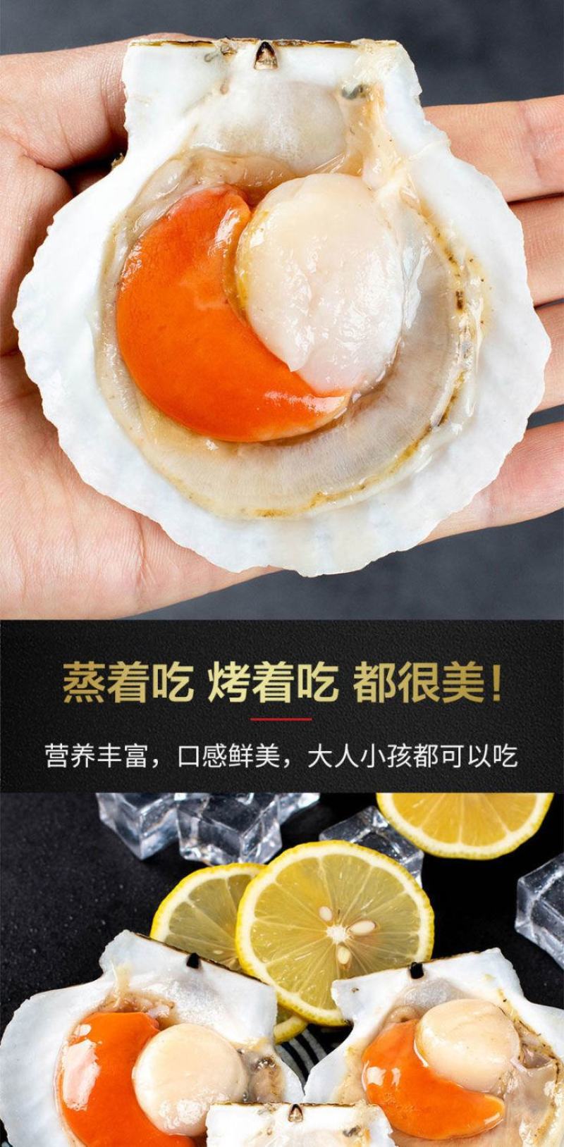 超大号新鲜半壳虾夏夷贝冷冻速大扇贝带黄肉烧烤蒜蓉无冰海捕