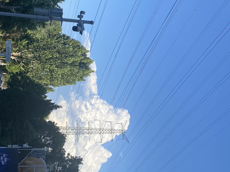 测试一下