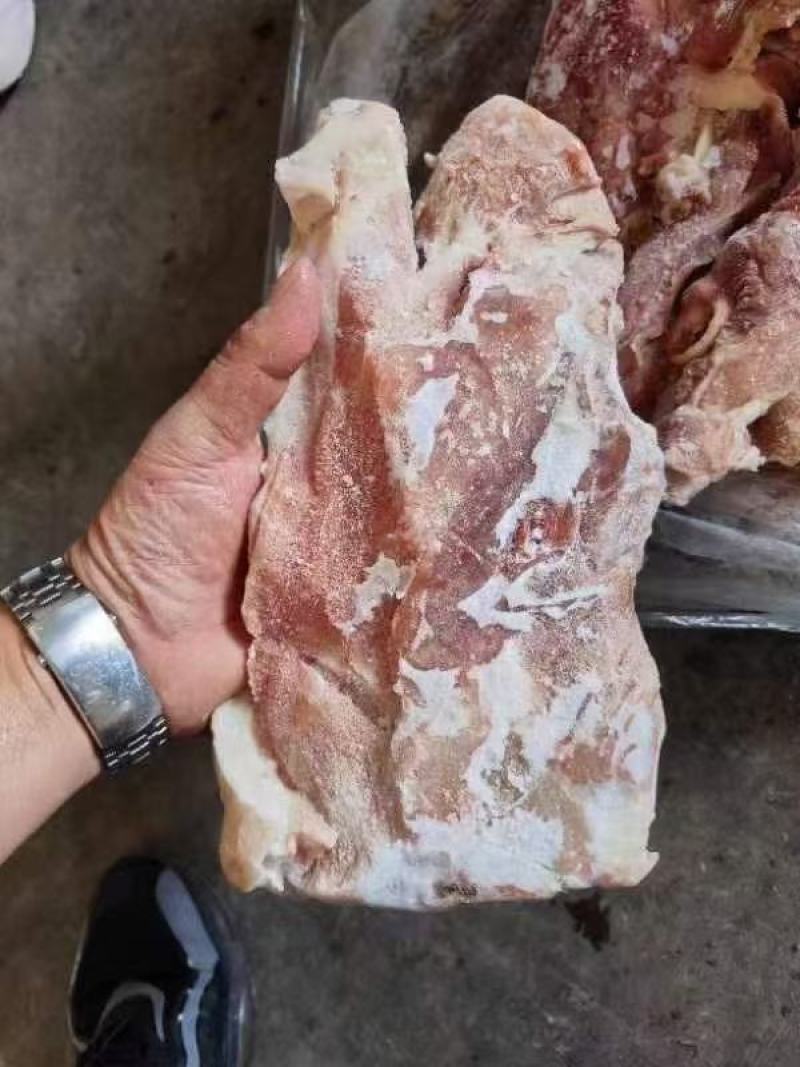 国产肥猪尾叉骨