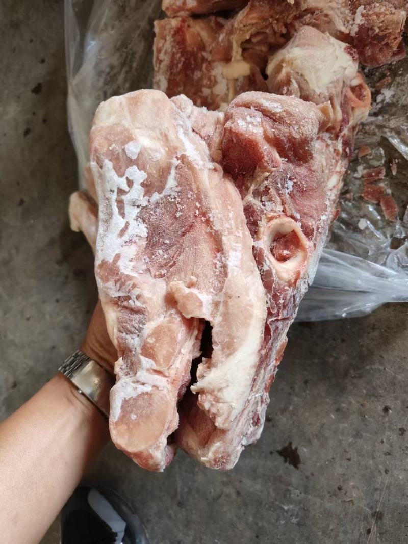 国产肥猪尾叉骨