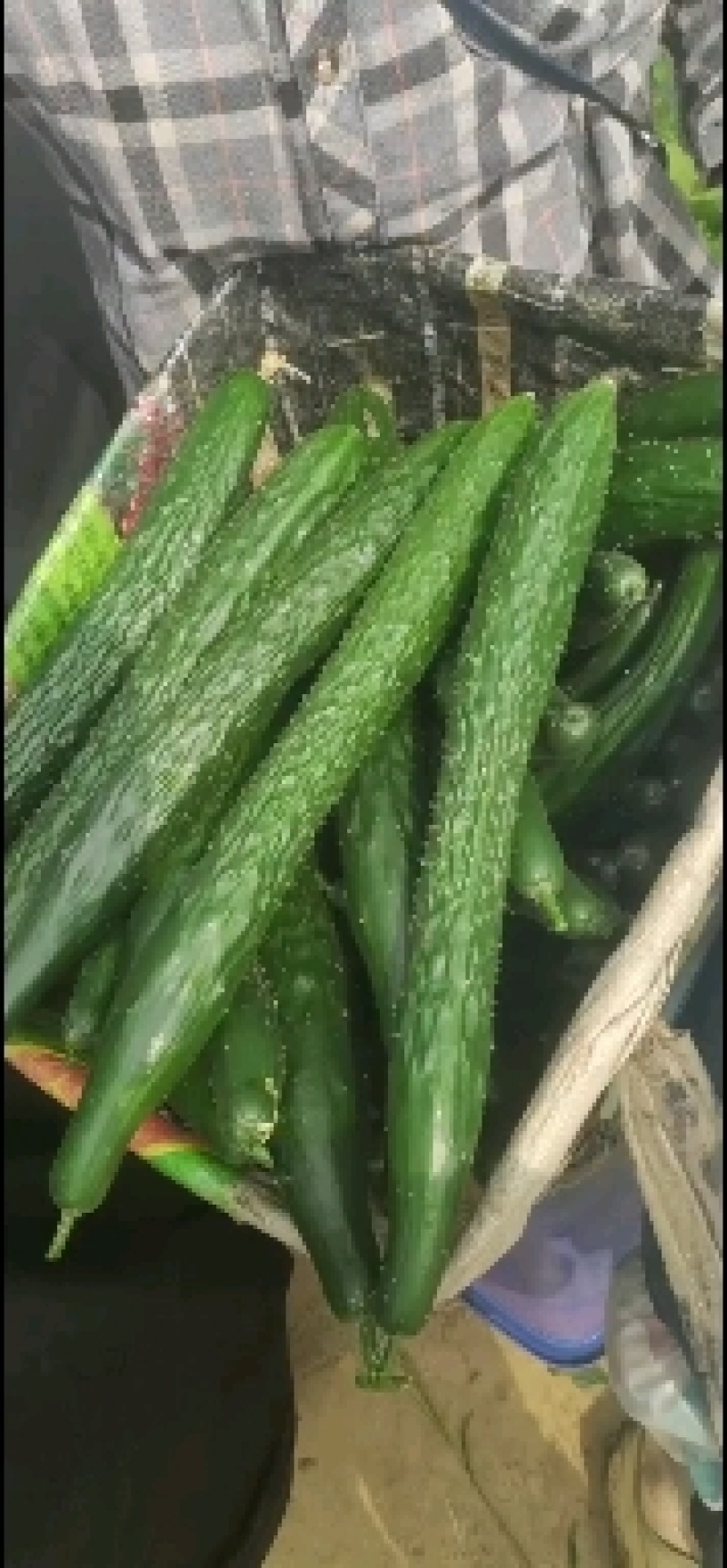 基地直销，物美价廉