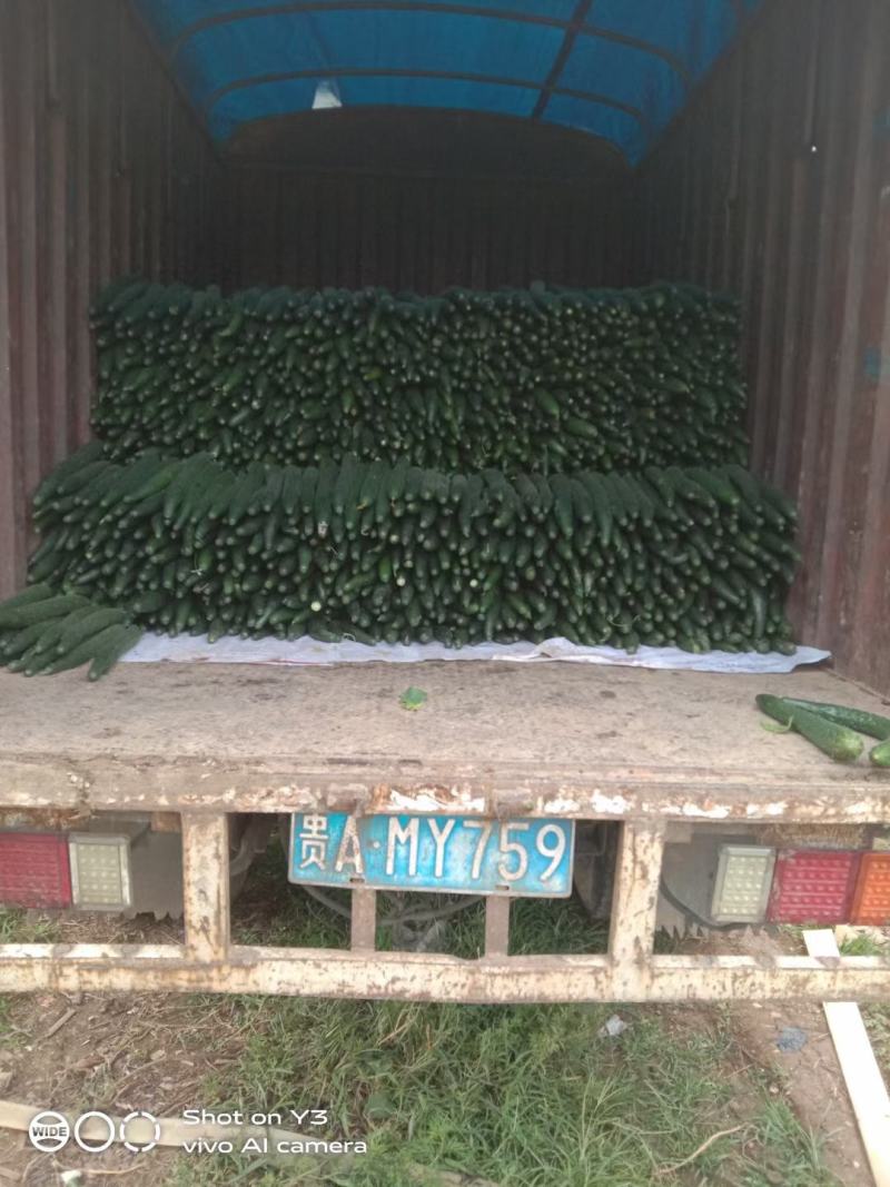 基地直销，物美价廉