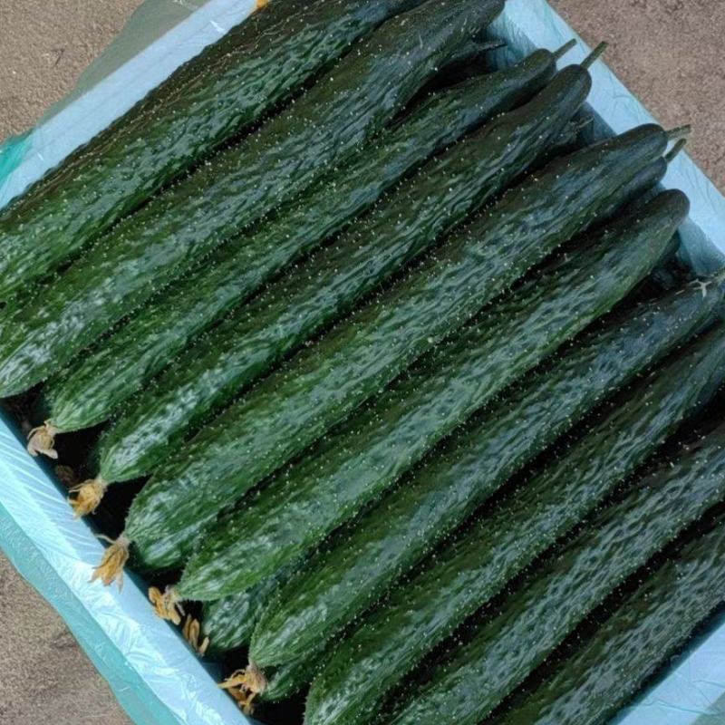 基地直销，物美价廉