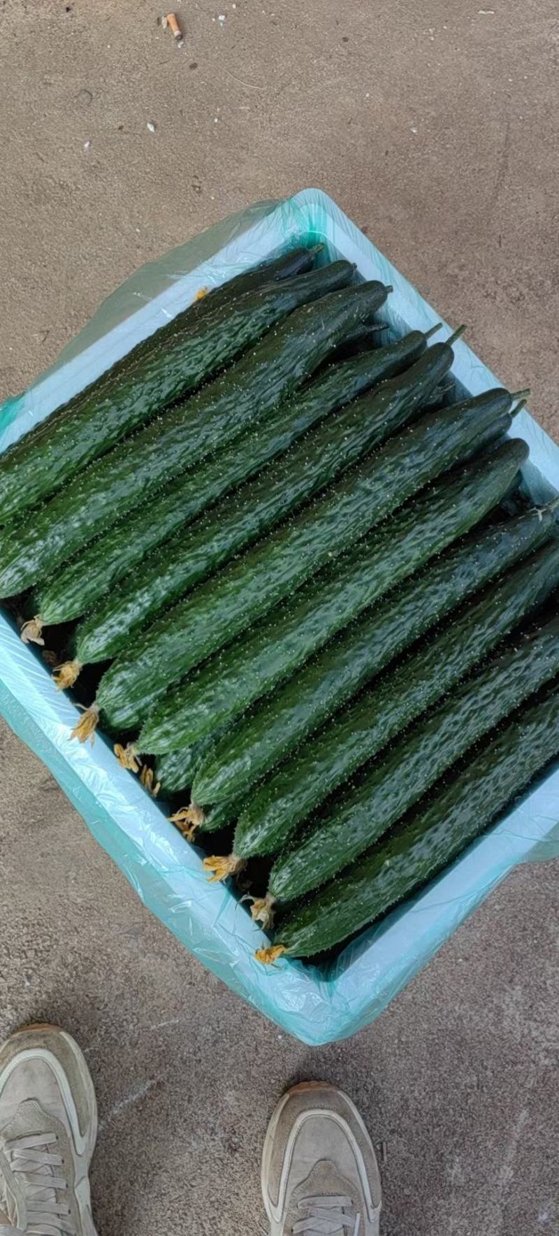 基地直销，物美价廉