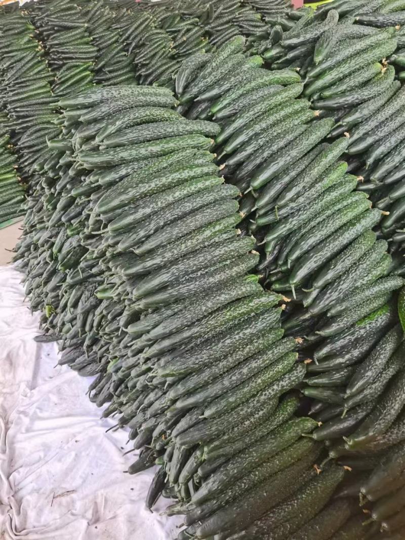 基地直销，物美价廉