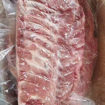 毛肋排