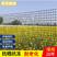 养鸡鸭塑料围栏网养殖网果园菜园圈地鱼塘防护网格网玉米网栅