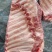 毛肋排
