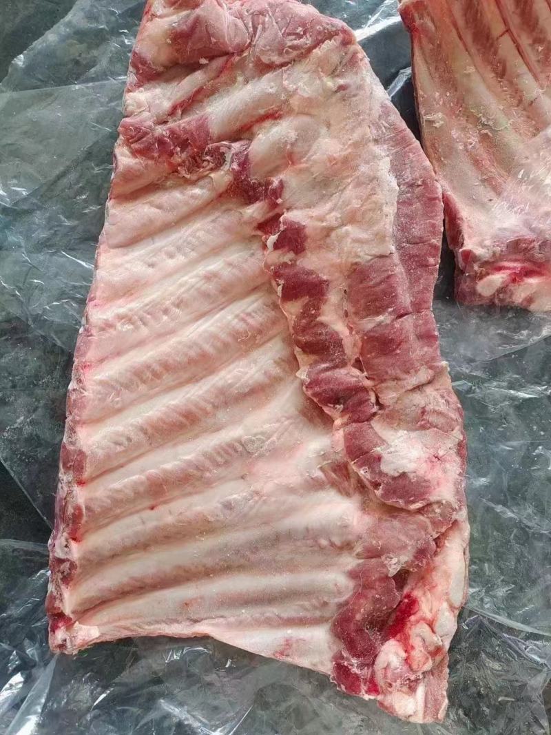 毛肋排