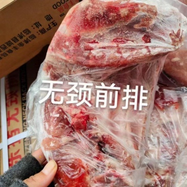 无胫前排