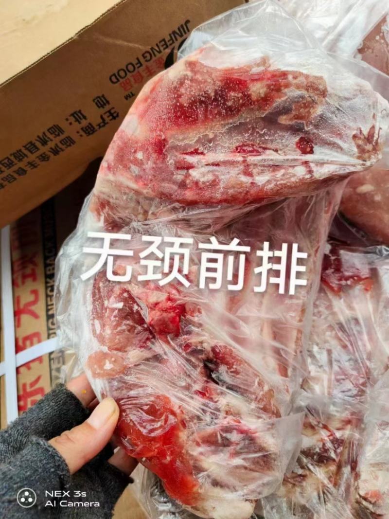 无胫前排