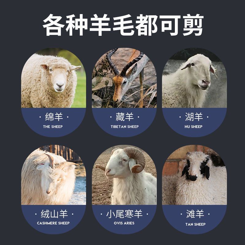 包邮电动羊毛剪子羊毛专用电推子大功率剪毛机绵羊电剪剃毛
