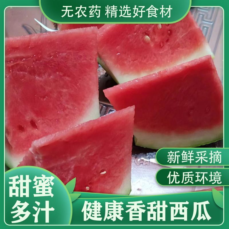 [热卖]湖南益阳8424西瓜麒麟西瓜品质保证量大