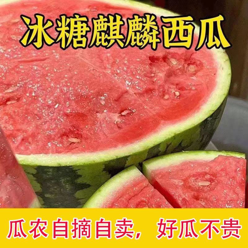 [热卖]湖南益阳8424西瓜麒麟西瓜品质保证量大