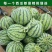 [热卖]湖南益阳8424西瓜麒麟西瓜品质保证量大
