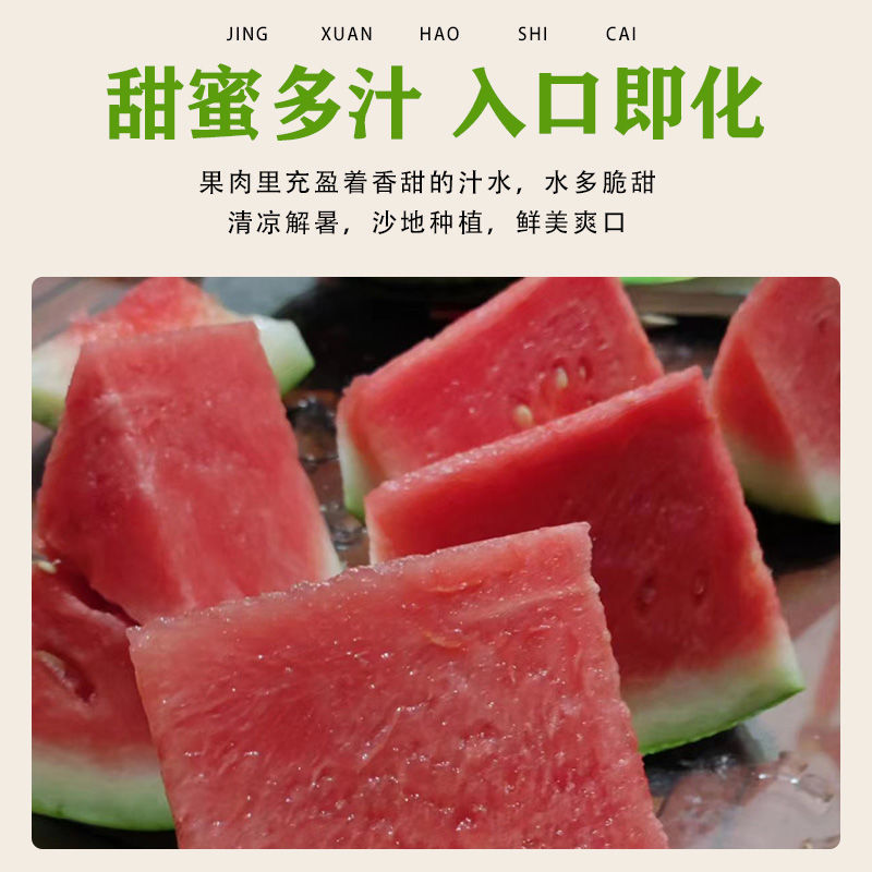 [精选]湖南8424西瓜麒麟西瓜品质保证诚信经营