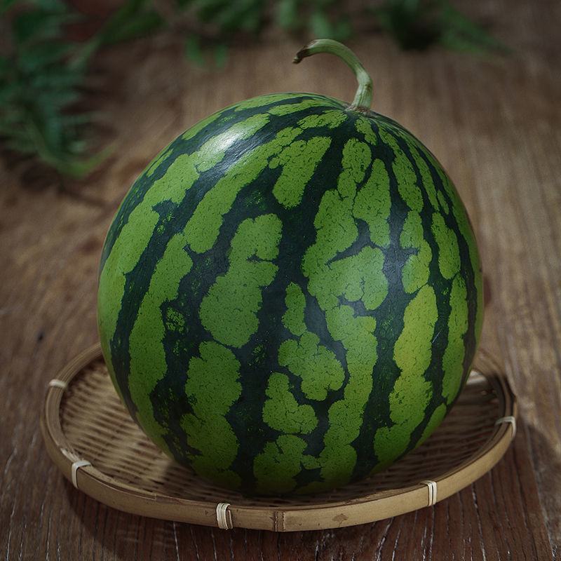 [精选]湖南8424西瓜麒麟西瓜品质保证诚信经营