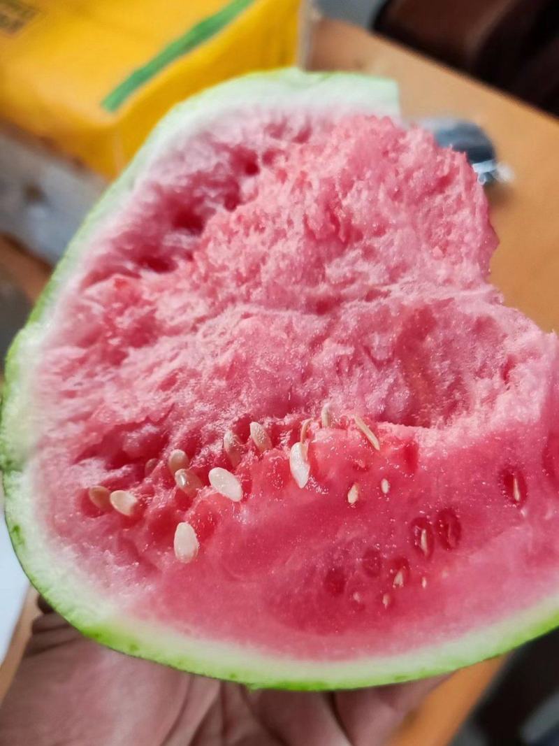 [精选]湖南8424西瓜麒麟西瓜品质保证诚信经营