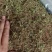 小叶马蹄金水洗货，一手货源产地发货