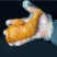 【麻辣卤鸡腿】晨诺酱香鸡腿10斤装