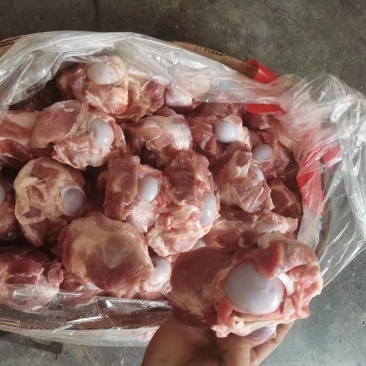 半截前腿骨