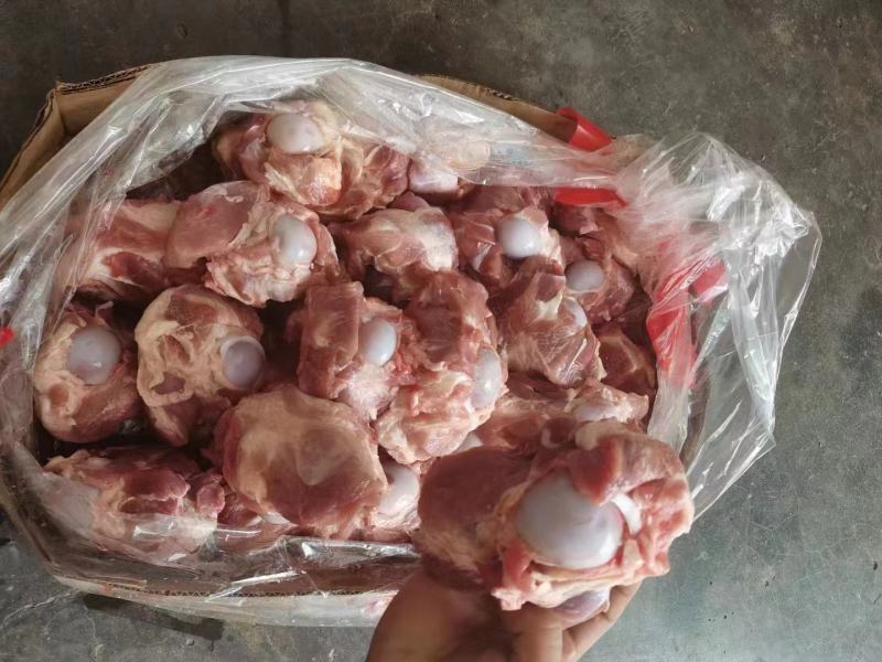 半截前腿骨