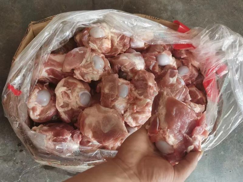 半截前腿骨
