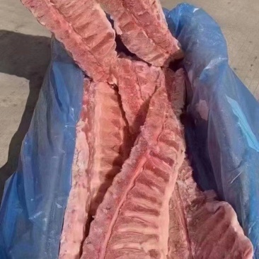 20874龙骨
