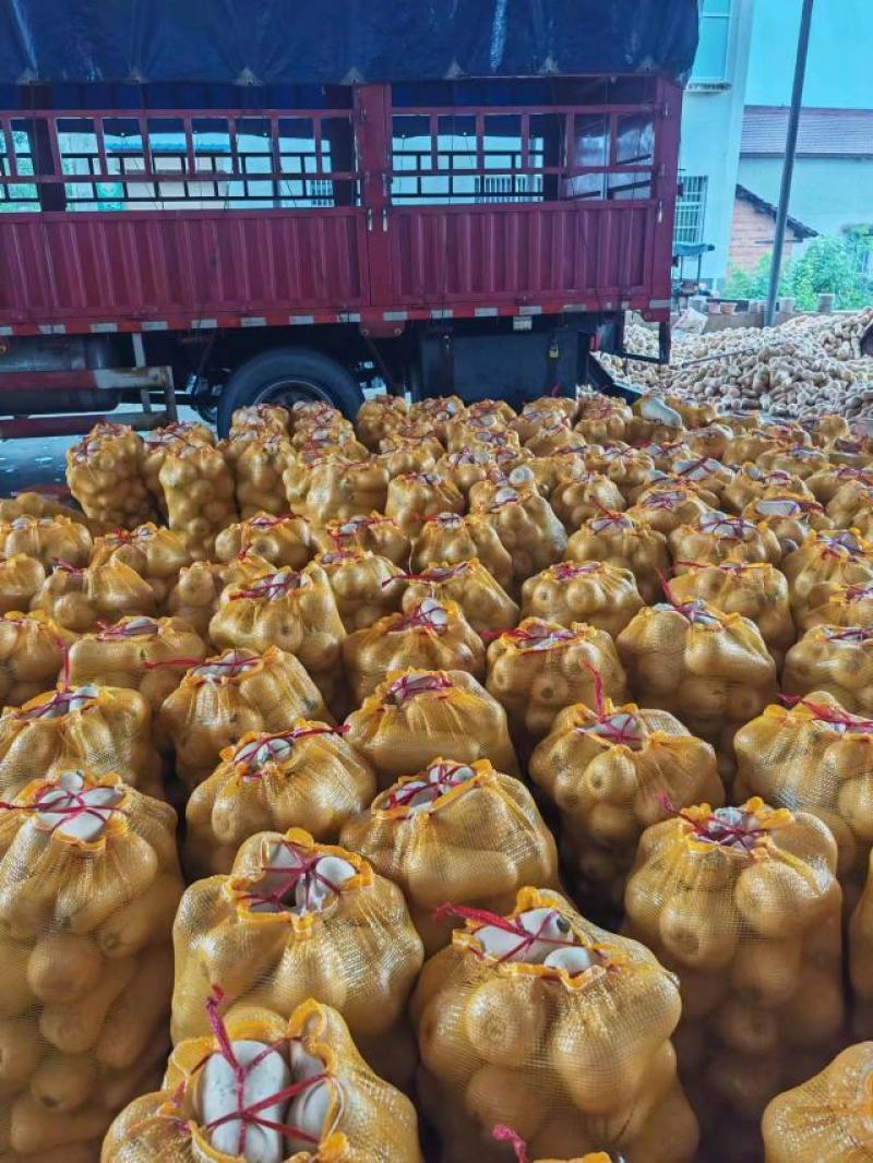 奶油南瓜陕西南瓜产地直发口感软糯香甜对接商超