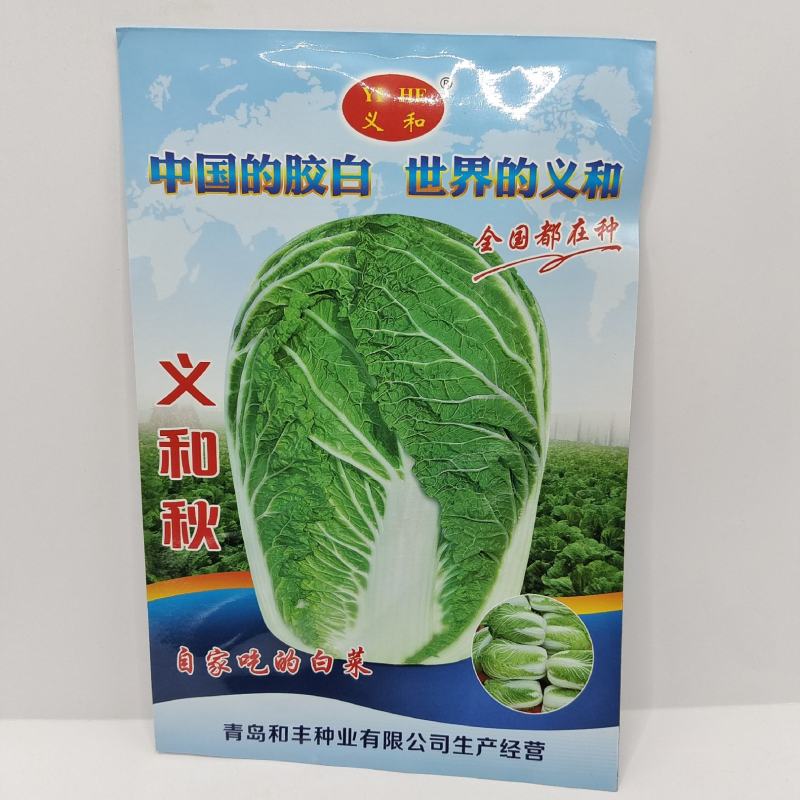 （优选）精品秋白菜种子义和秋清香鲜嫩好吃好卖