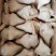 羊头鲜货冻货都有！