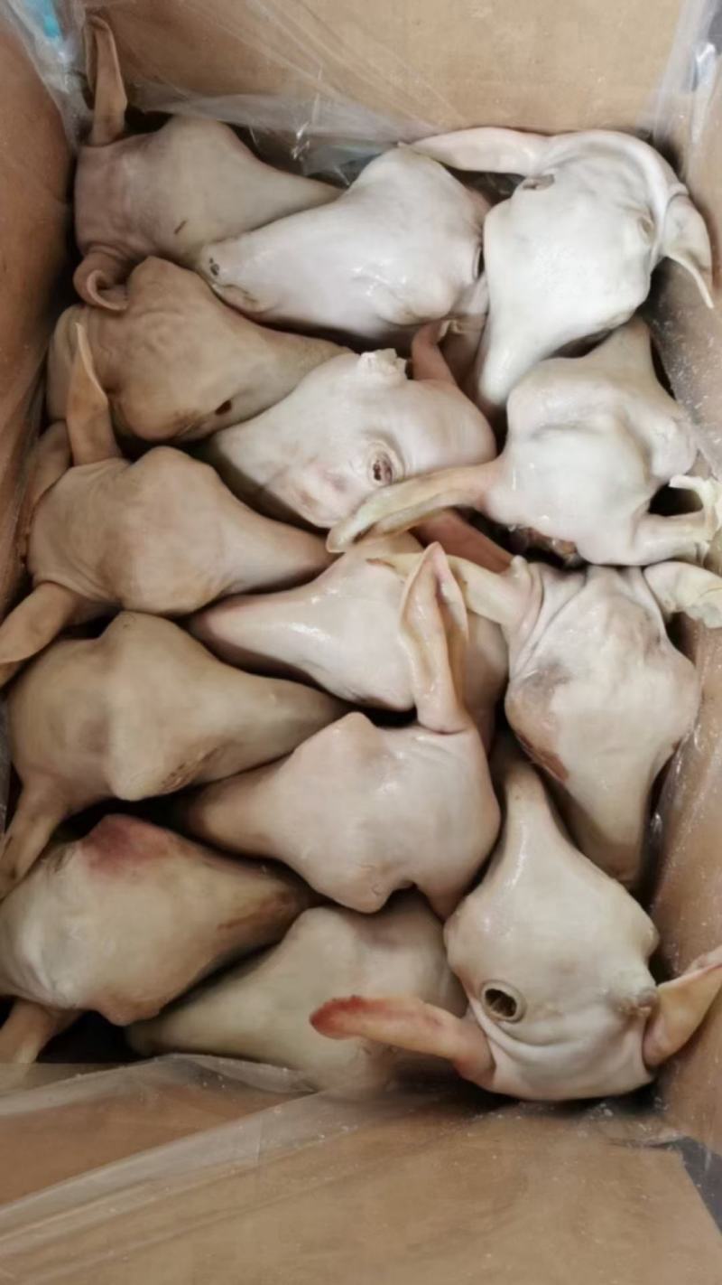 羊头鲜货冻货都有！