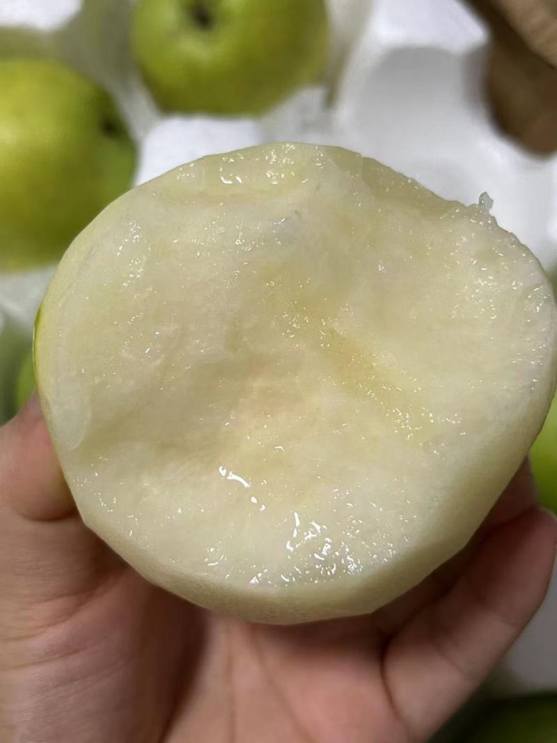 露天苏脆青梨，青梨，蜜梨6两起步，酥脆可口，蜜甜多汁