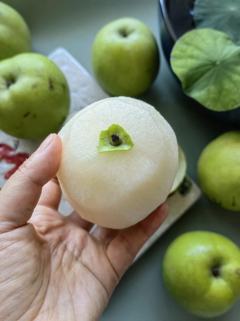 露天苏脆青梨，青梨，蜜梨6两起步，酥脆可口，蜜甜多汁