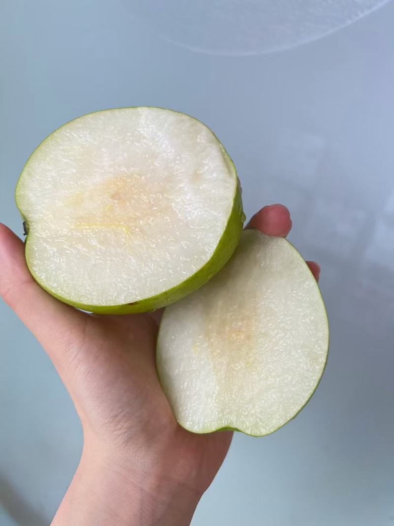 露天苏脆青梨，青梨，蜜梨6两起步，酥脆可口，蜜甜多汁