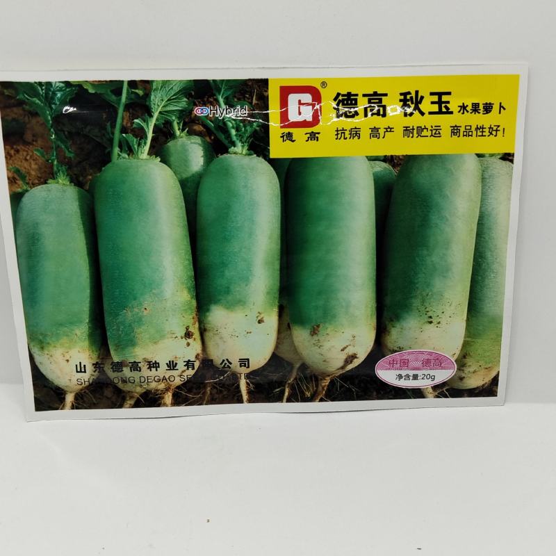 （精品）德高秋玉青萝卜种子好吃好卖青皮绿肉