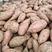 开封沙地红薯精品龙薯大量上市现挖现发质量有保证