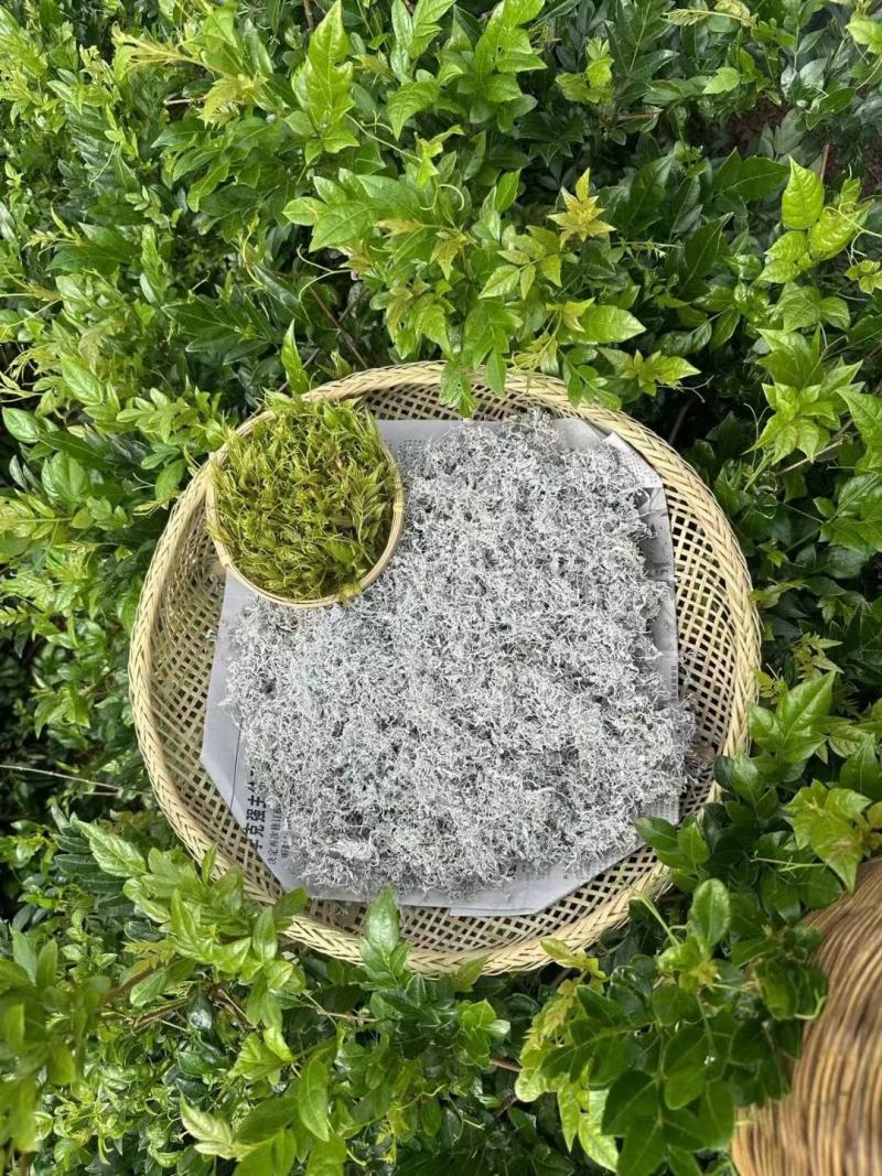 张家界原产地莓茶直销